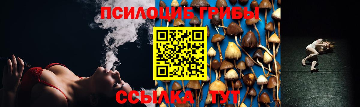 Галлюциногенные грибы Psilocybine cubensis  даркнет сайт  Буйнакск  Вход с VPN 