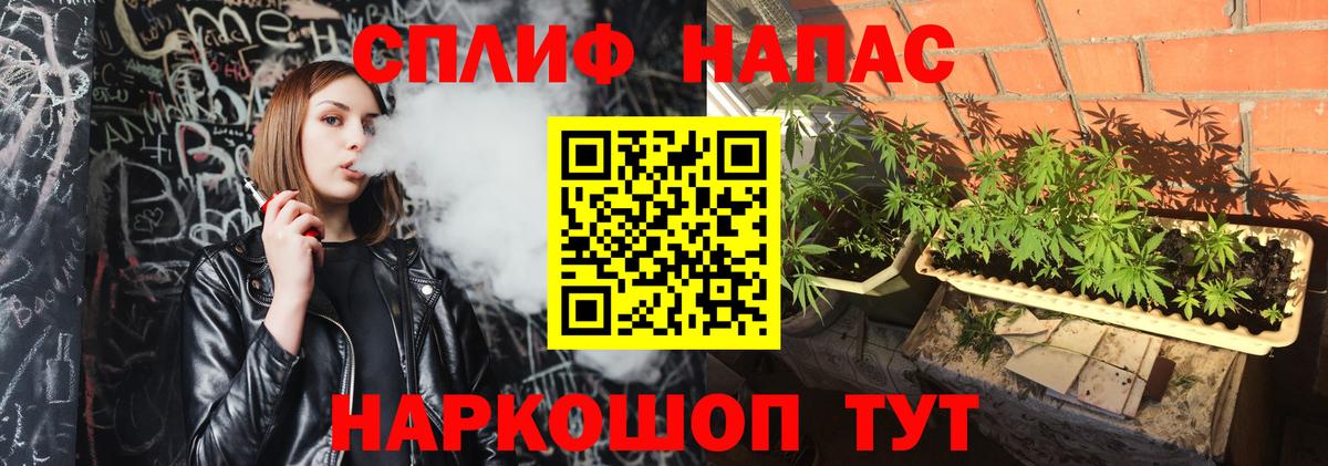 Канабис конопля Буйнакск